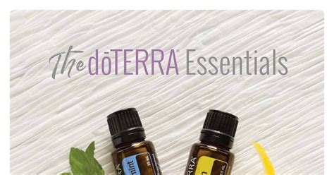 东营优路教育—中级经济师招生简章