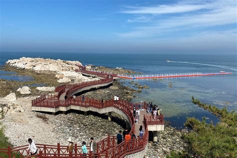 烟台优路教育—全国教师招聘考试招生简章