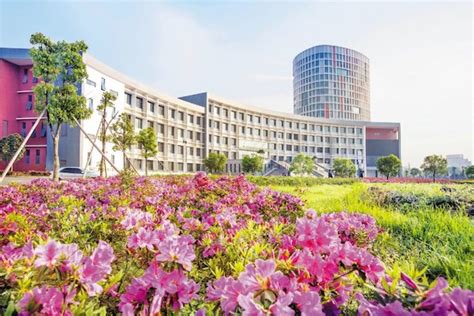 金华优路教育—造价工程师招生简章及配套资料