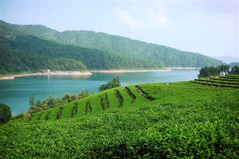 龙岩优路教育—BIM工程师招生简章