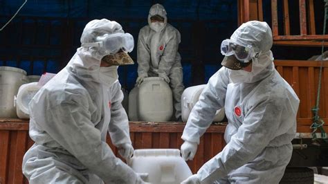 孝感优路教育—健康管理师招生简章