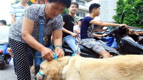 榆林优路教育—全国教师招聘考试招生简章