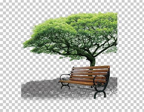 商丘优路教育—全国教师资格证考试笔试【面授+网络】招生简章