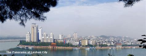 乐山优路教育—碳排放管理师