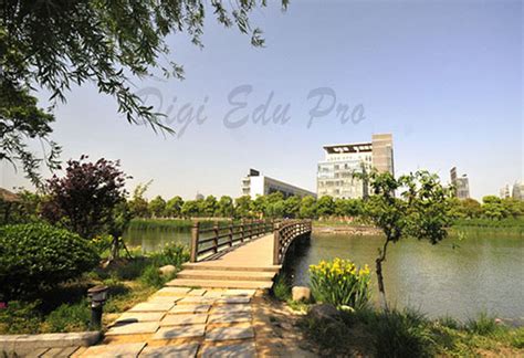 苏州学尔森—大专/本科网络教育