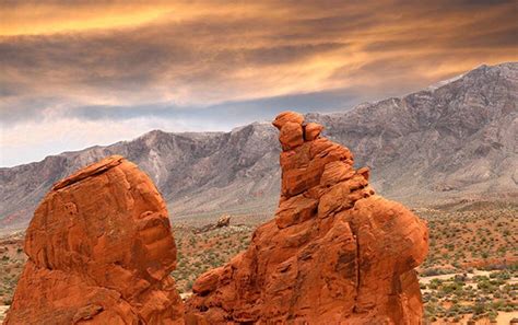 大连童程童美—智能机器人编程培训