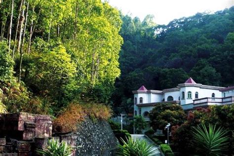 广州嘉利山学院国际高中AP课程