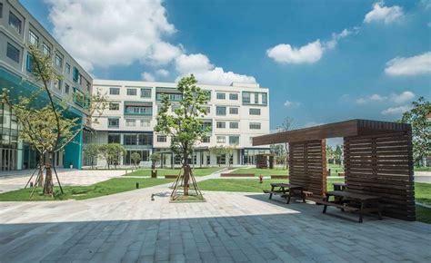 上海诺德安达双语学校国际小学课程