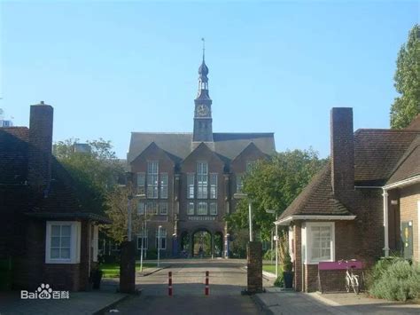 宁波华茂国际学校高中IB课程