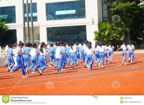 深圳美中国际小学国际部小学课程