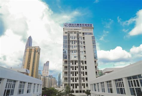深圳曦城协同学校学前班课程