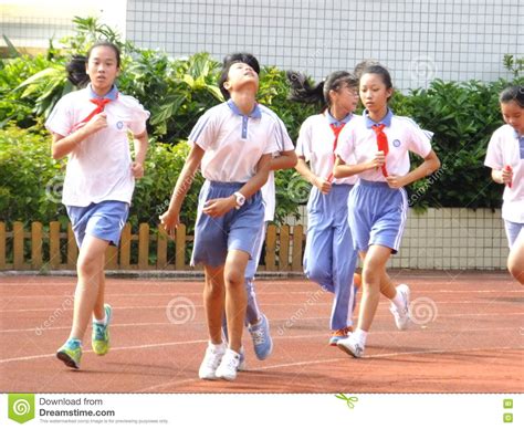 深圳曦城协同学校小学课程