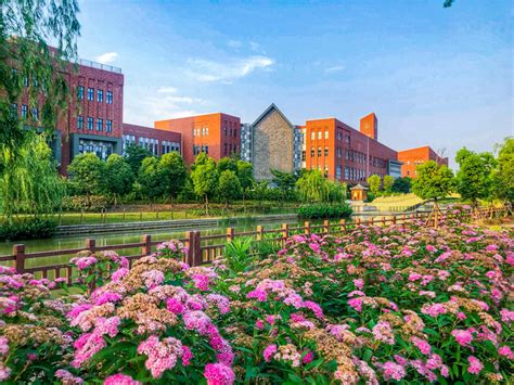 上海德威英国国际学校(浦东新)高中IB国际文凭证书课程