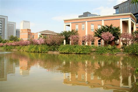 成都美视学校中国部中学招生简章