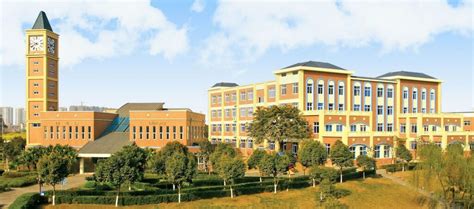 成都美视学校中国部小学招生简章