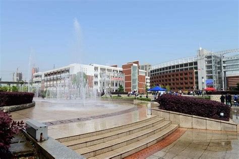 曲靖一中国际班AP课程