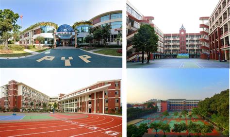 广东碧桂园(IB国际)学校初中中英双语课程