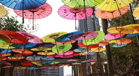 珠海科爱赛国际学校小学中英双语课程