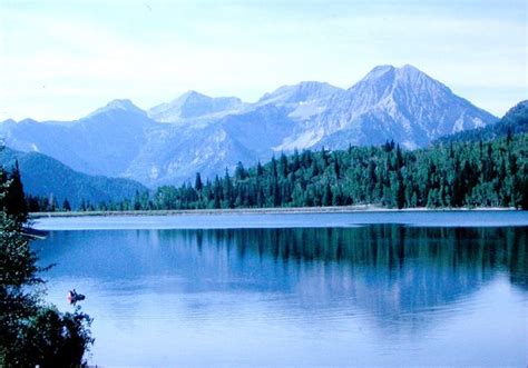 美林湖国际学校小学中英双语课程