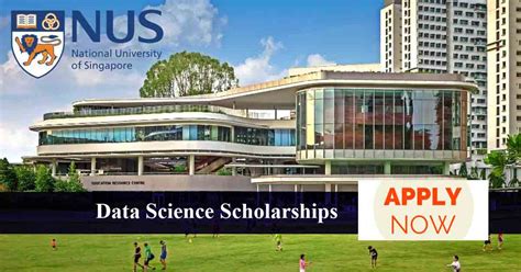 香港大学内地招生学费及奖学金