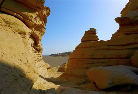 新疆中公考研—魔鬼集训营之冲刺集训营