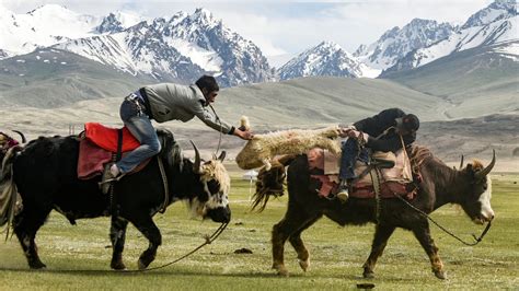 新疆中公考研—面授乐学逆袭协议B班