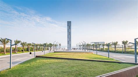 湛江新励成-生命的绽放