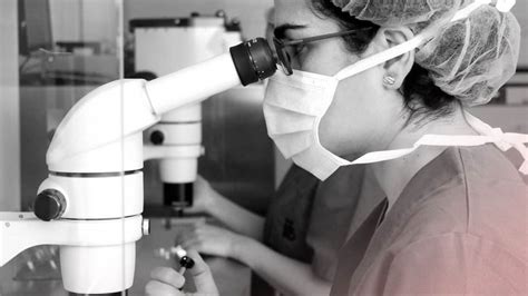 细述本科转学美国的优缺点