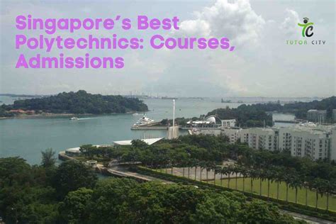 不同阶段高中生如何申请新加坡私立学院&政府理工