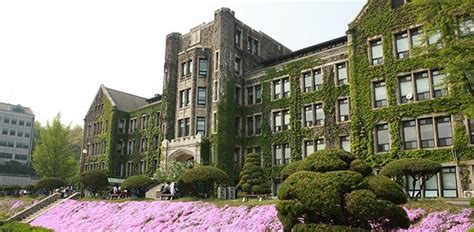 韩国留学：去韩国学习什么专业性价比最高？