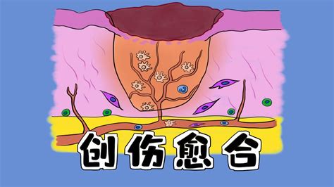 中公考研—全套真题逐题精讲系列