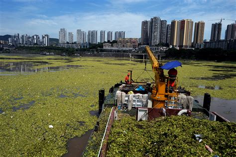重庆中公考研—面授乐学协议班