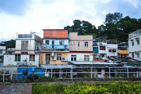 北京新励成-生命的创造