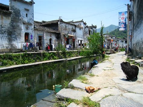 惠州新励成-生命的创造