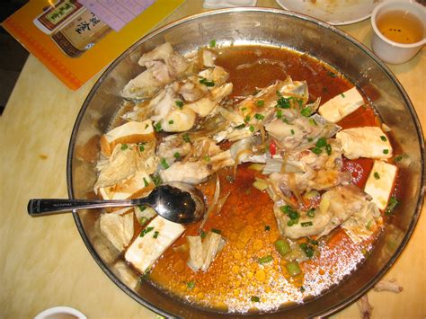 佛山新励成-生命的创造