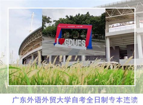 广东学府考研—考研荣耀vip全程班【199管综+英语二】
