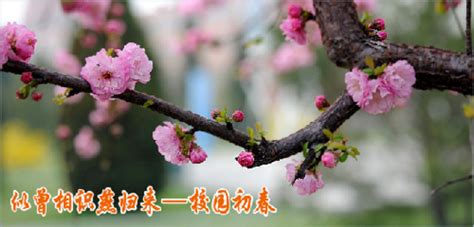 山西学府考研—考研管综荣耀vip全程班【MBA】