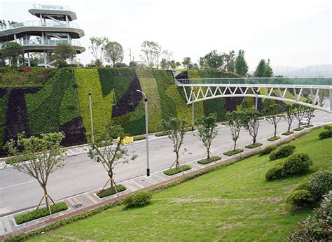 湖南学府考研—考研管综荣耀vip全程班【MBA】
