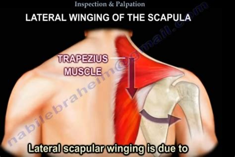 湖北文都考研一考研法硕联考视频全程班