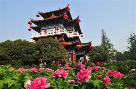 洛阳乐博乐博Python课程