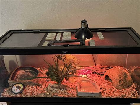 晋城乐博乐博Python课程