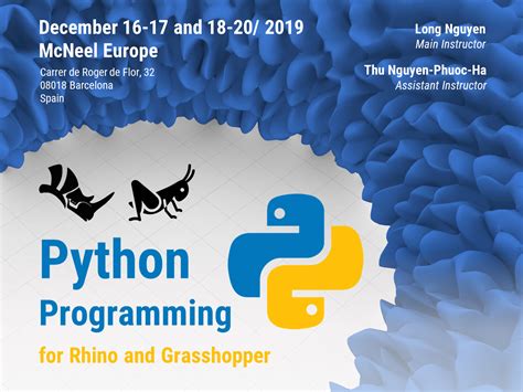 江门乐博乐博Python线上课程