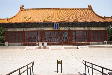 中山乐博乐博积木课程