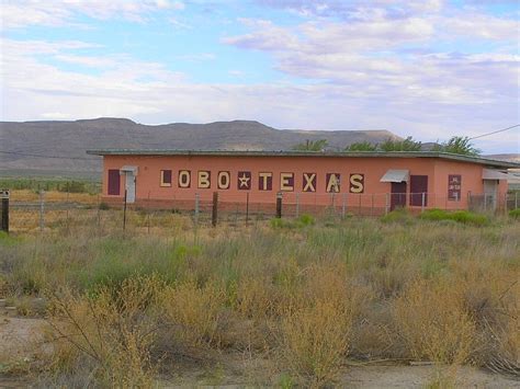 德州乐博乐博Python课程