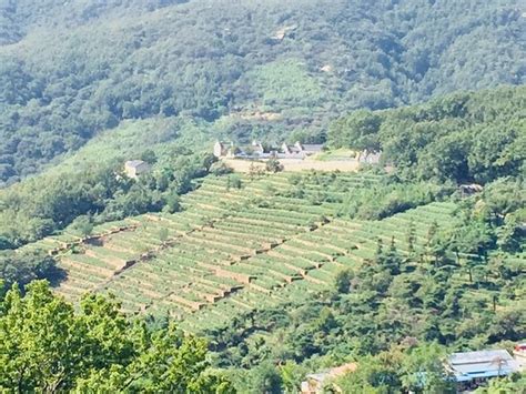 连云港乐博乐博Python课程