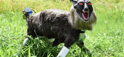 渭南乐博乐博单片机器人课程