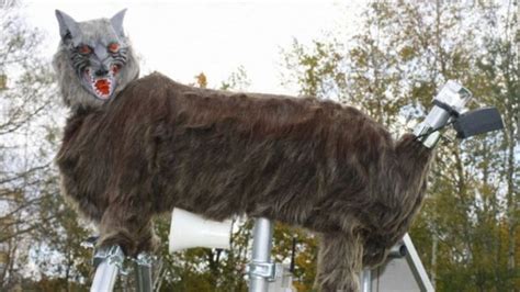 滨州乐博乐博单片机器人课程