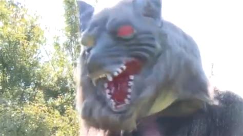 西安乐博乐博单片机器人课程