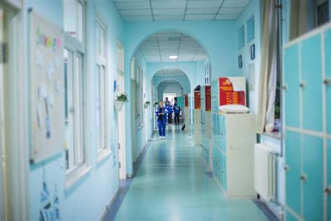 大连文都考研绽放彩虹班（全科）