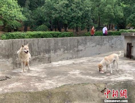 武汉乐博乐博编程故事课程